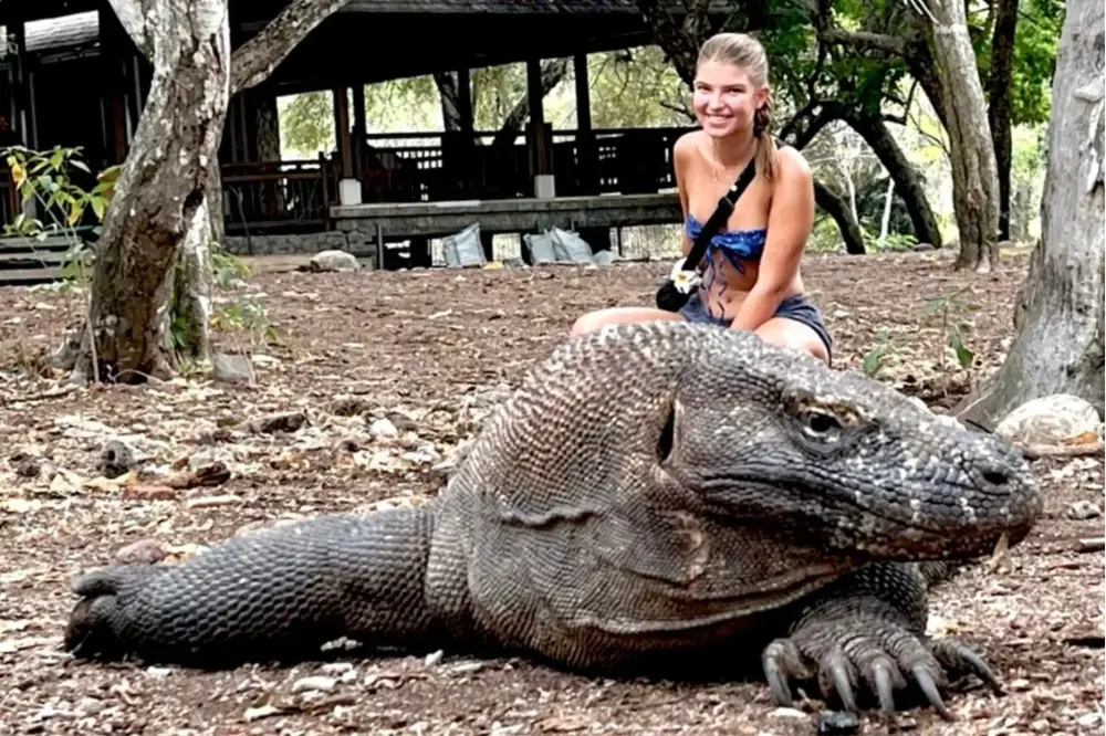 Komodo Island Private Tour vs Shared Tour Guide
