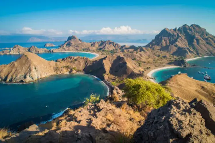 One Day Trip to Komodo Island from Bali