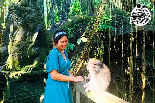 Ubud Monkey Forest Bali