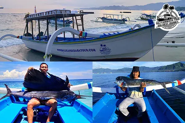 Bali Activities