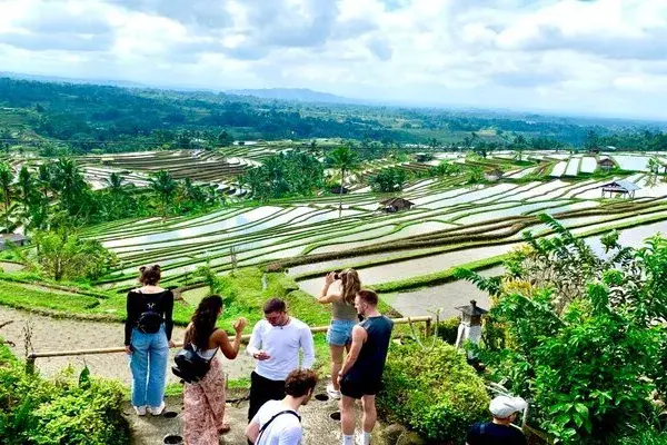 Bali Full Day Tour