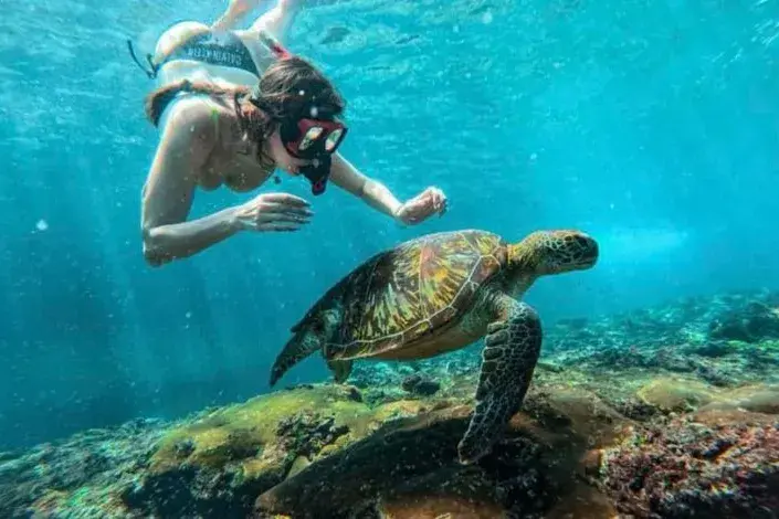 Bali Activities