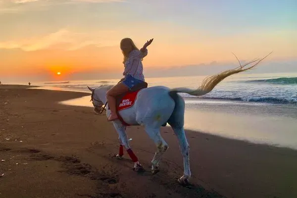 Bali Horse Riding