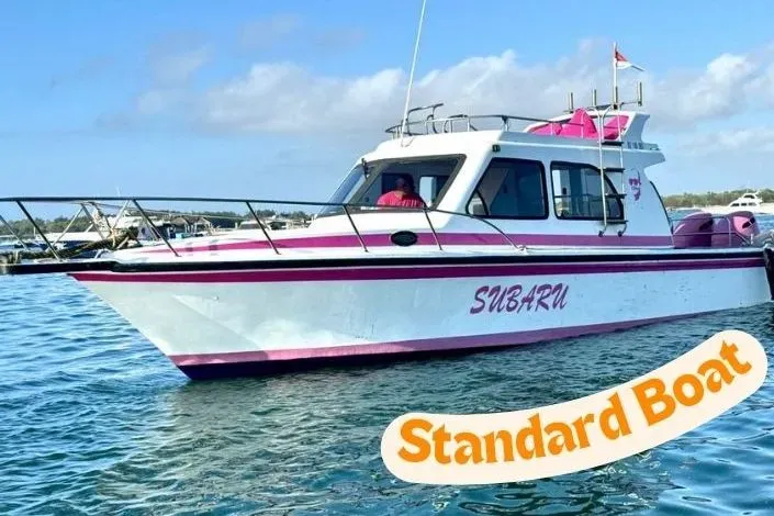 Standard Boat