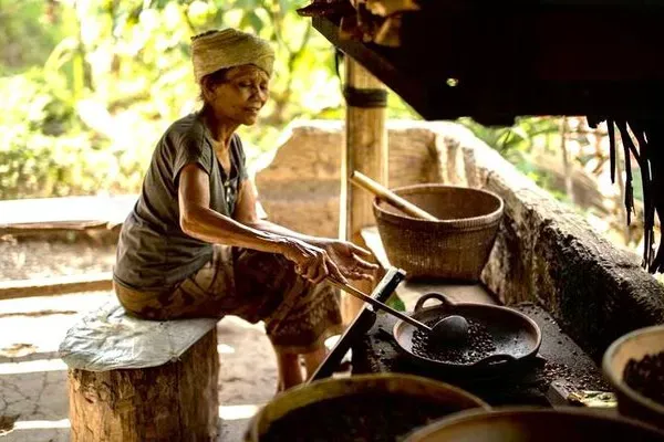 Coffe Plantation