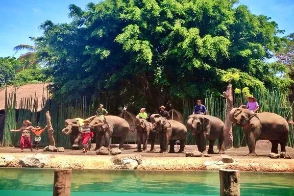 Bali Safari And Marine Park