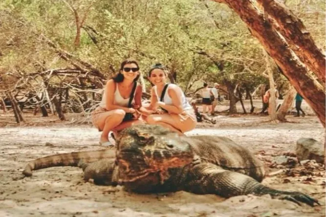 Komodo Island