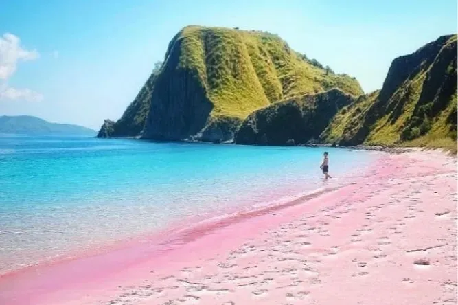 Pink Beach