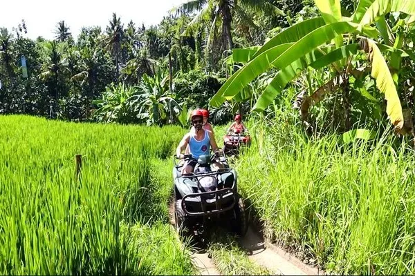 Quad Bike Adventure