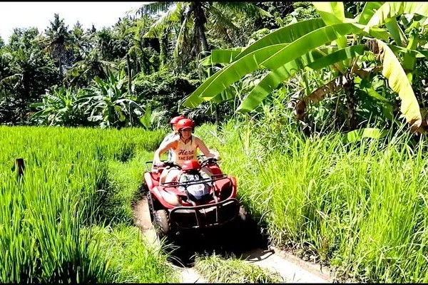 Quad Bike Adventure
