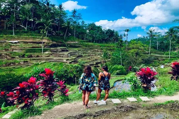 Tegalalang Rice Terrace