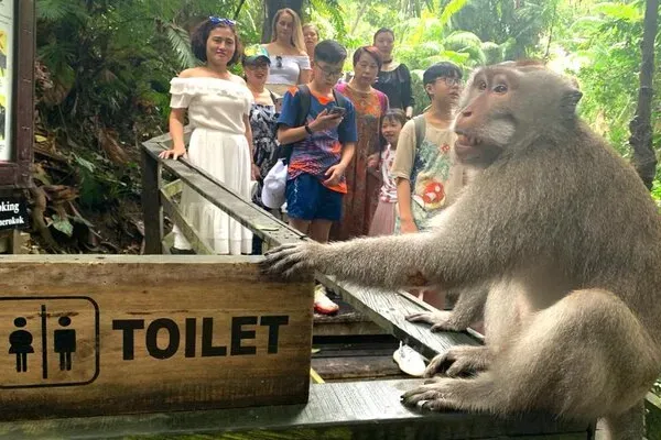 Ubud Monkey Forest