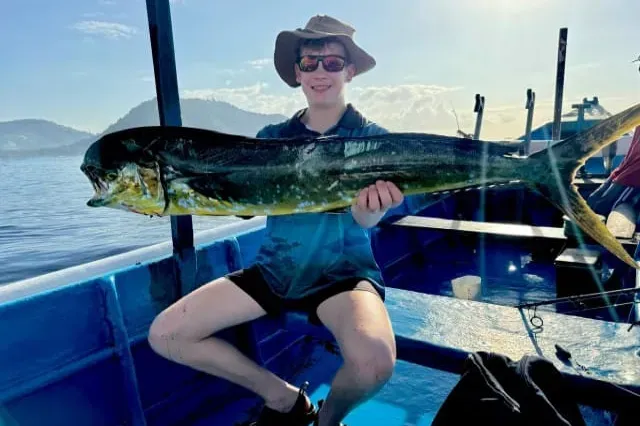 Mahi Mahi fish