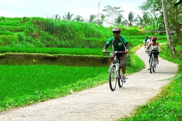 Downhill Cycling