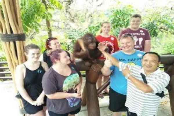 Breakfast With Orangutan 