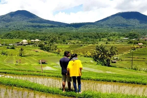 Jatiluwih