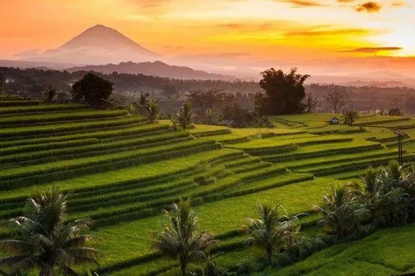 Jatiluwih
